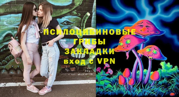синтетический гашиш Алексин
