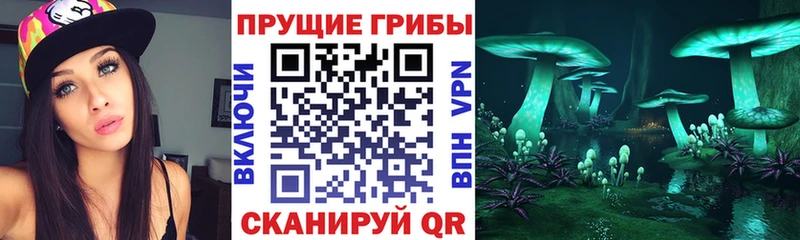Купить  Шуя  Псилоцибиновые грибы Magic Shrooms 